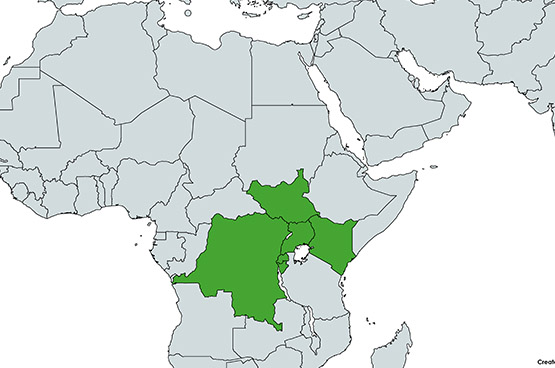 regional-partnerships